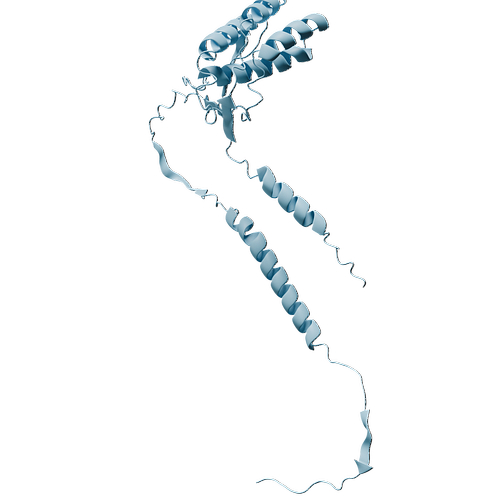 P49771-Human FLT3LG -3d structure.jpg